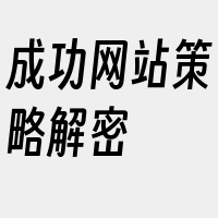 成功网站策略解密