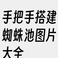 手把手搭建蜘蛛池图片大全