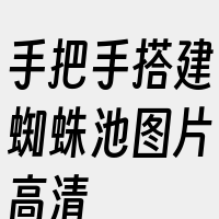 手把手搭建蜘蛛池图片高清