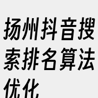 扬州抖音搜索排名算法优化