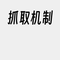 抓取机制