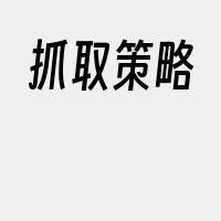 抓取策略