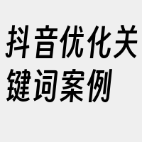 抖音优化关键词案例