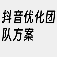 抖音优化团队方案