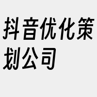 抖音优化策划公司