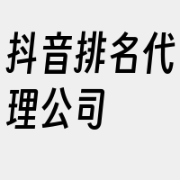 抖音排名代理公司