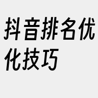 抖音排名优化技巧