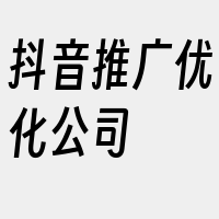 抖音推广优化公司