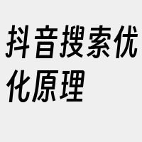 抖音搜索优化原理