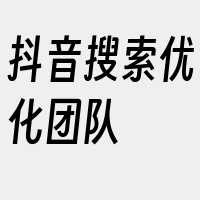 抖音搜索优化团队