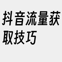 抖音流量获取技巧