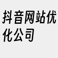 抖音网站优化公司