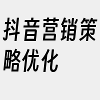 抖音营销策略优化