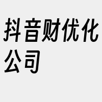 抖音财优化公司