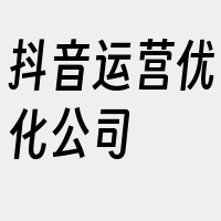 抖音运营优化公司