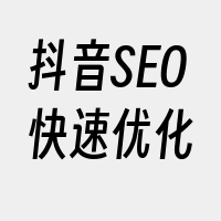 抖音SEO快速优化