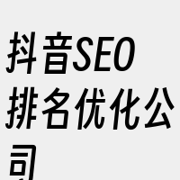 抖音SEO排名优化公司