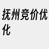 抚州竞价优化