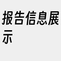 报告信息展示