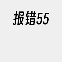 报错55