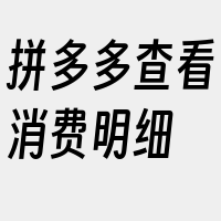 拼多多查看消费明细