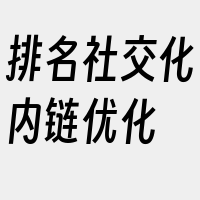 排名社交化内链优化