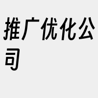 推广优化公司