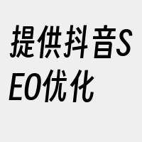 提供抖音SEO优化