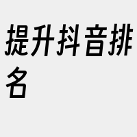 提升抖音排名