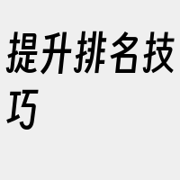 提升排名技巧