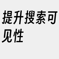 提升搜索可见性