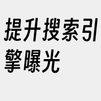 提升搜索引擎曝光