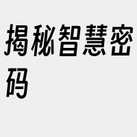 揭秘智慧密码