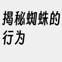 揭秘蜘蛛的行为