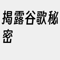 揭露谷歌秘密