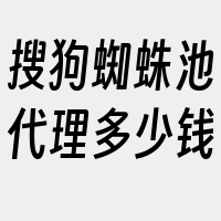 搜狗蜘蛛池代理多少钱