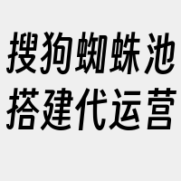 搜狗蜘蛛池搭建代运营