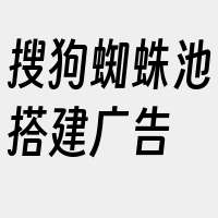 搜狗蜘蛛池搭建广告