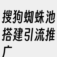 搜狗蜘蛛池搭建引流推广