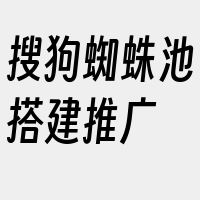 搜狗蜘蛛池搭建推广