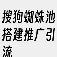 搜狗蜘蛛池搭建推广引流