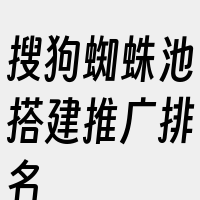 搜狗蜘蛛池搭建推广排名