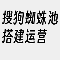 搜狗蜘蛛池搭建运营