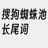 搜狗蜘蛛池长尾词