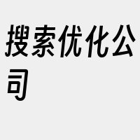 搜索优化公司