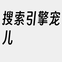 搜索引擎宠儿