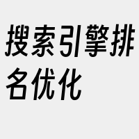 搜索引擎排名优化