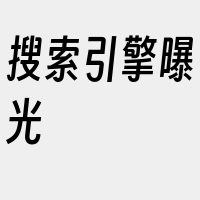 搜索引擎曝光