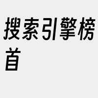 搜索引擎榜首