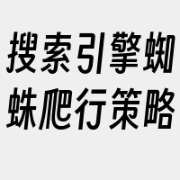 搜索引擎蜘蛛爬行策略